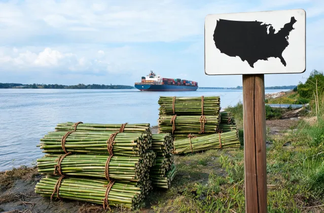 Illustration of a bamboo shipment brief and US delivery point